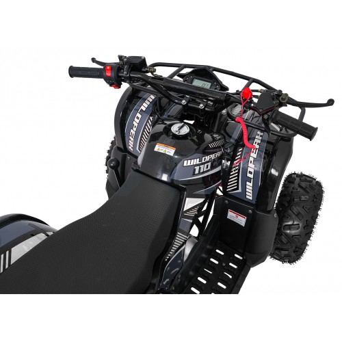 Čtyřkolka WILDPEAK 110cc Black Combustion