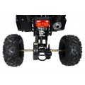 Čtyřkolka WILDPEAK 110cc Black Combustion