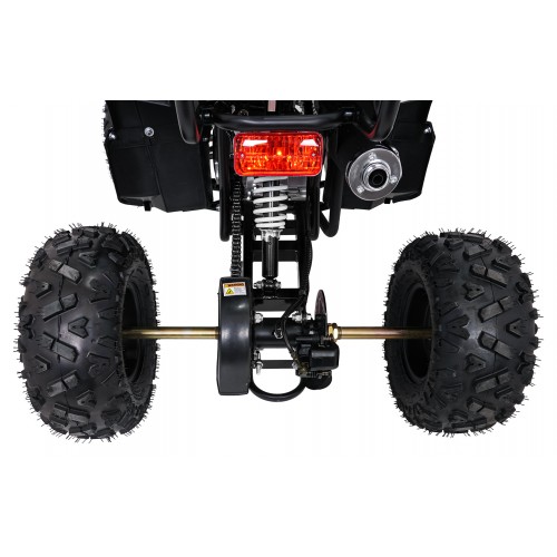 Čtyřkolka WILDPEAK 110cc Black Combustion