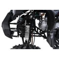 Čtyřkolka WILDPEAK 110cc Black Combustion
