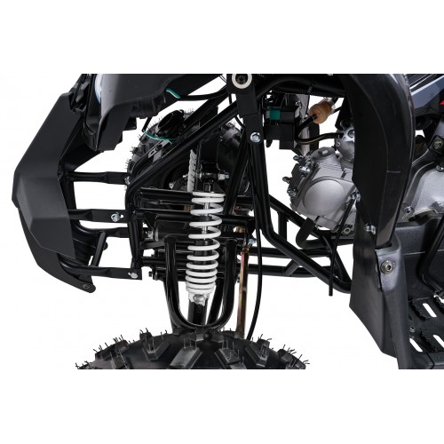 Čtyřkolka WILDPEAK 110cc Black Combustion