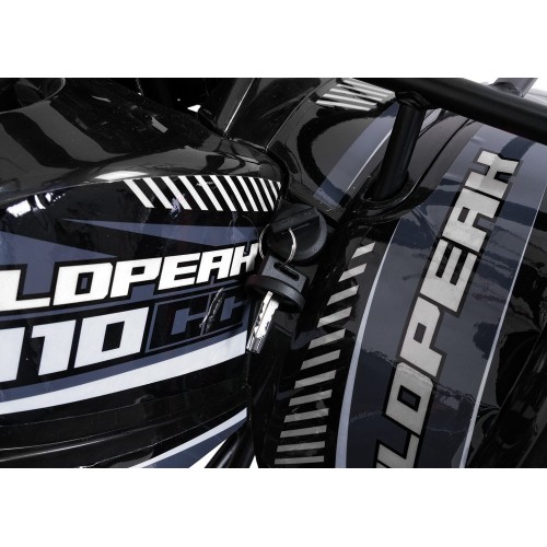 Čtyřkolka WILDPEAK 110cc Black Combustion