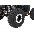 Čtyřkolka WILDPEAK 110cc Black Combustion