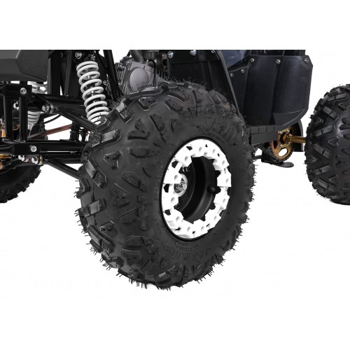 Čtyřkolka WILDPEAK 110cc Black Combustion