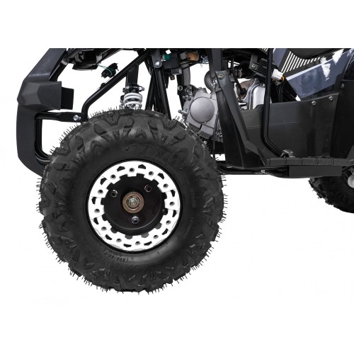 Čtyřkolka WILDPEAK 110cc Black Combustion