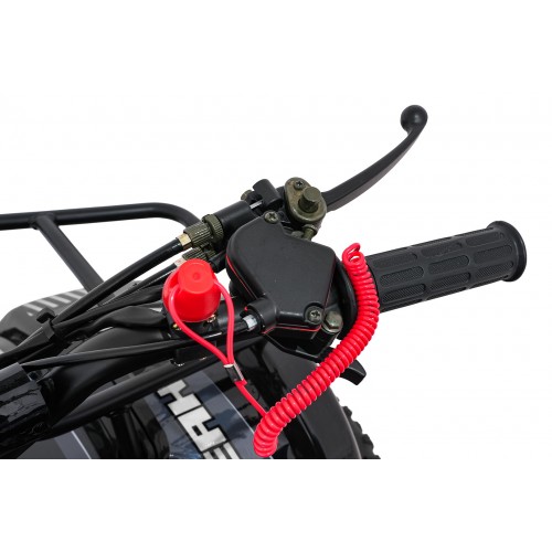 Čtyřkolka WILDPEAK 110cc Black Combustion
