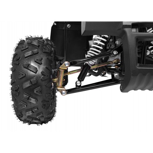 Čtyřkolka WILDPEAK 110cc Black Combustion