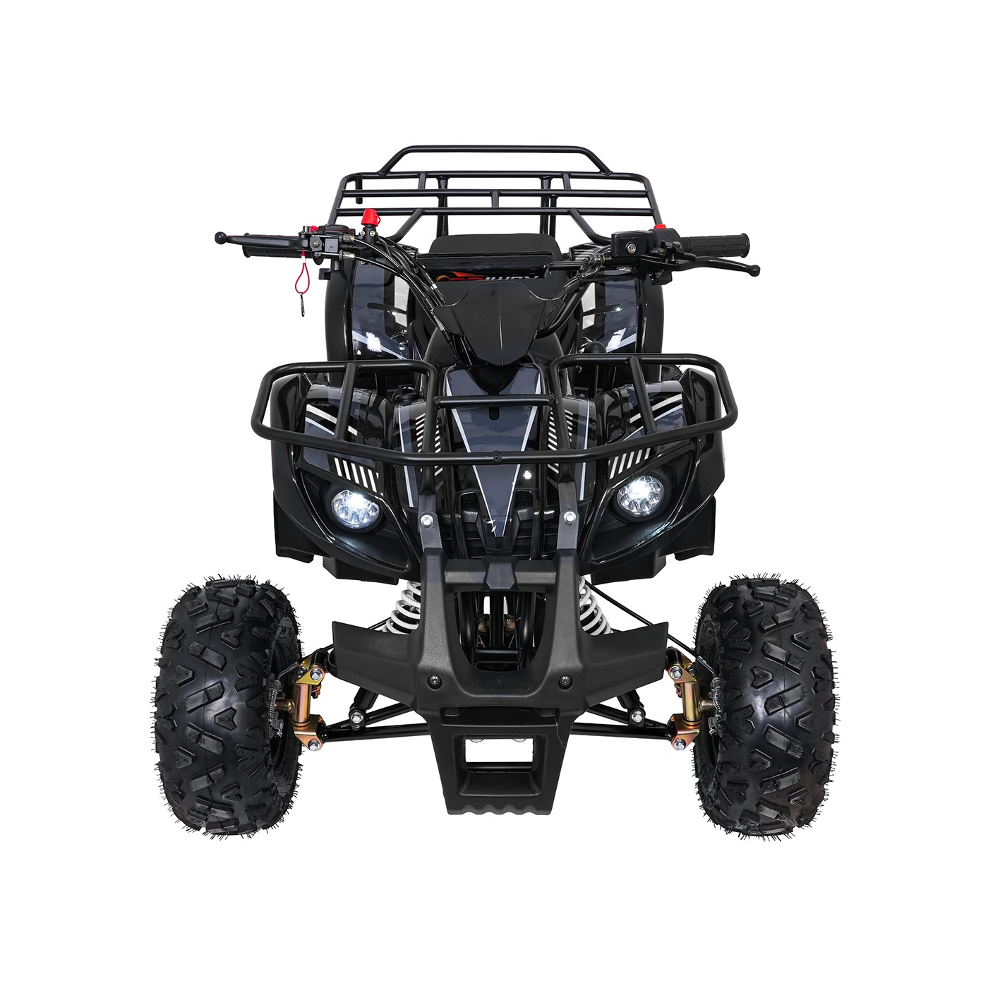 Čtyřkolka WILDPEAK 110cc Black Combustion