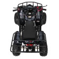 Čtyřkolka WILDPEAK 110cc Black Combustion