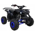 Čtyřkolka WILDPEAK 110cc Blue Combustion