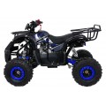 Čtyřkolka WILDPEAK 110cc Blue Combustion