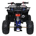 Čtyřkolka WILDPEAK 110cc Blue Combustion