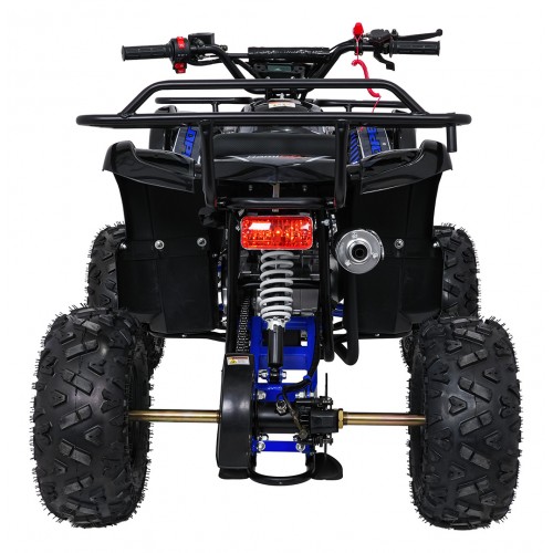Čtyřkolka WILDPEAK 110cc Blue Combustion