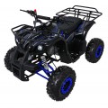 Čtyřkolka WILDPEAK 110cc Blue Combustion