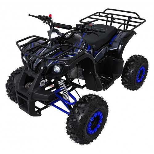 Čtyřkolka WILDPEAK 110cc Blue Combustion