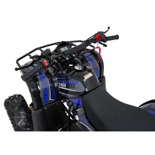 Čtyřkolka WILDPEAK 110cc Blue Combustion