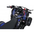 Čtyřkolka WILDPEAK 110cc Blue Combustion
