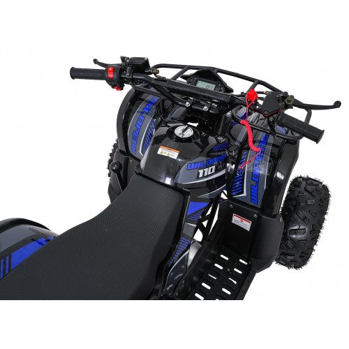 Čtyřkolka WILDPEAK 110cc Blue Combustion