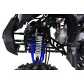 Čtyřkolka WILDPEAK 110cc Blue Combustion