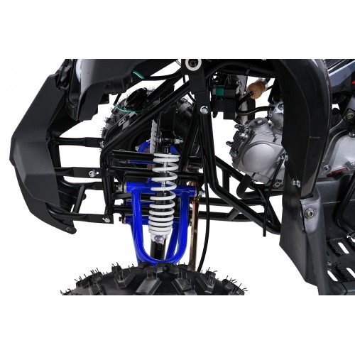 Čtyřkolka WILDPEAK 110cc Blue Combustion