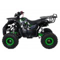 Benzínová čtyřkolka WILDPEAK 110cc Green