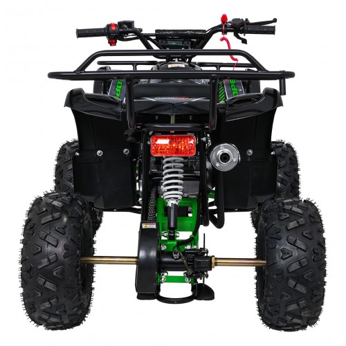 Benzínová čtyřkolka WILDPEAK 110cc Green