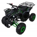 Benzínová čtyřkolka WILDPEAK 110cc Green