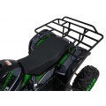 Benzínová čtyřkolka WILDPEAK 110cc Green