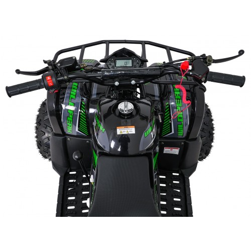 Benzínová čtyřkolka WILDPEAK 110cc Green