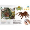 Tarantule R/C pavouk