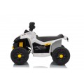 MINI Can Am Renegade ATV bílá