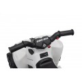 MINI Can Am Renegade ATV bílá