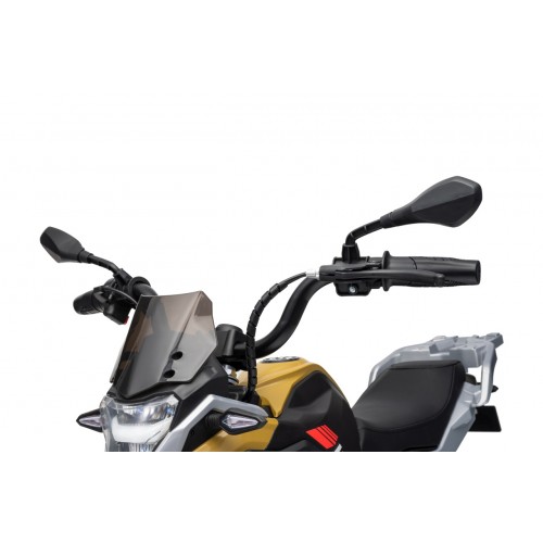 Motor vozidla BMW G310GS Champagne