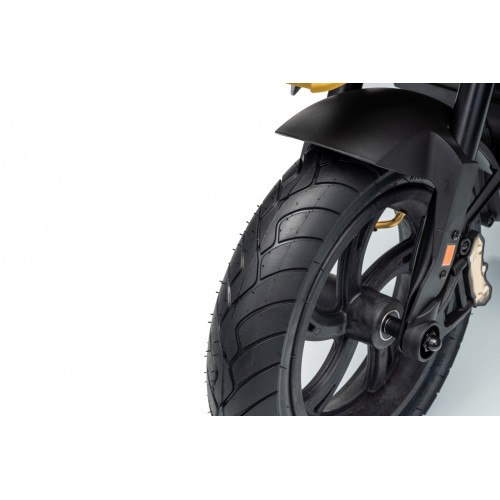 Motor vozidla BMW G310GS Champagne