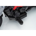 Motor vozidla BMW G310GS Champagne