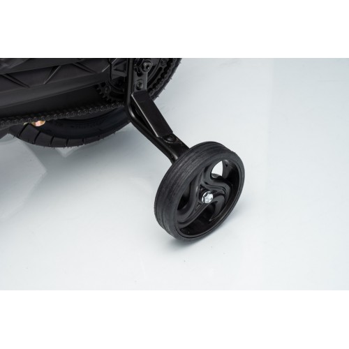 Motor vozidla BMW G310GS Champagne