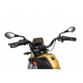 Motor vozidla BMW G310GS Champagne