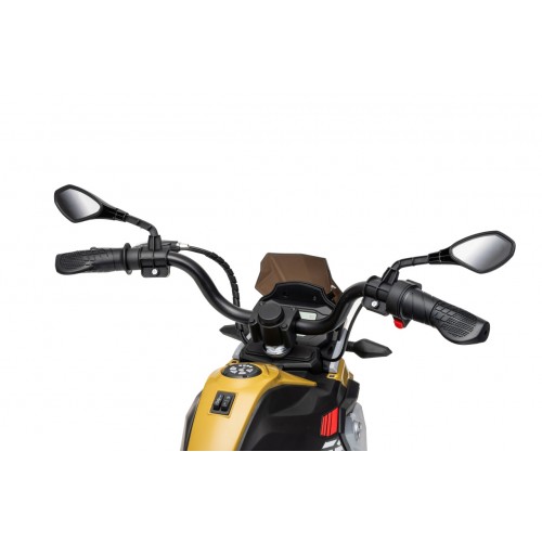 Motor vozidla BMW G310GS Champagne