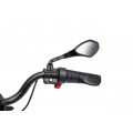 Motor vozidla BMW G310GS Champagne