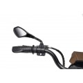 Motor vozidla BMW G310GS Champagne