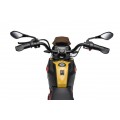 Motor vozidla BMW G310GS Champagne
