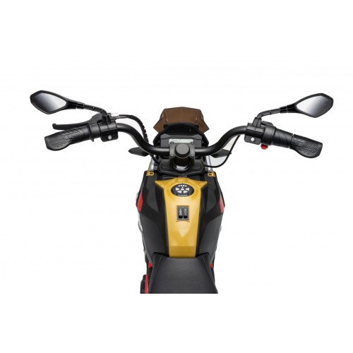Motor vozidla BMW G310GS Champagne