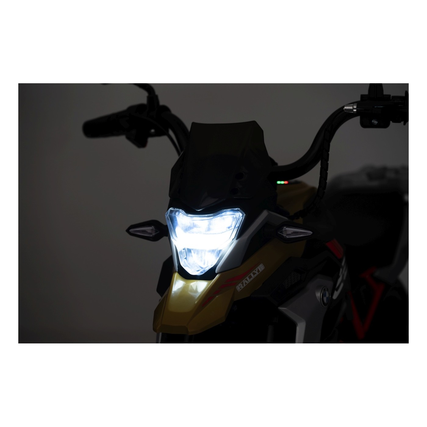 Motor vozidla BMW G310GS Champagne