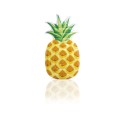 Matrace, ananas 216 x 124 cm INTEX